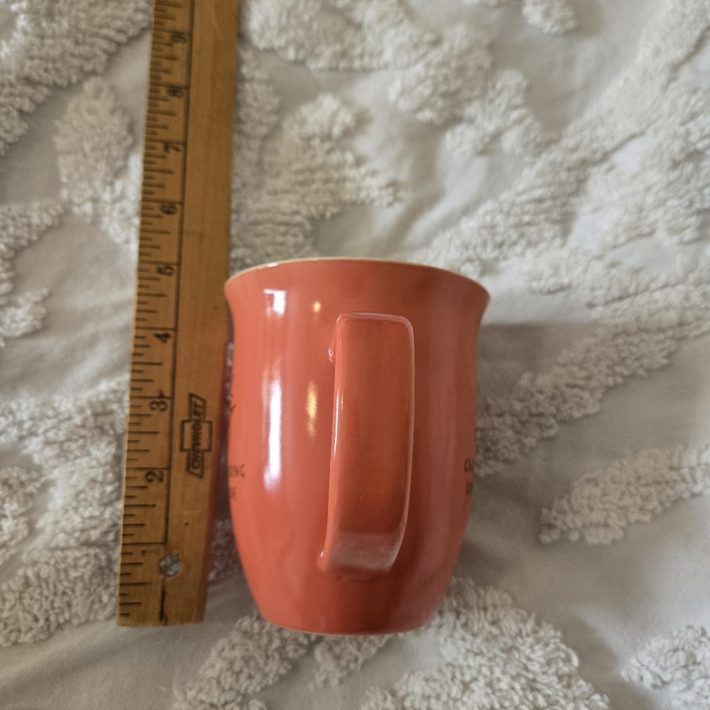 Salmon And Lime Christian Sister Matthew 6:21 Verse On Rim Mug - Picture 2 of 6